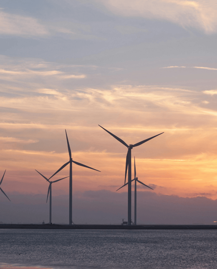 Windmolens in de avond.